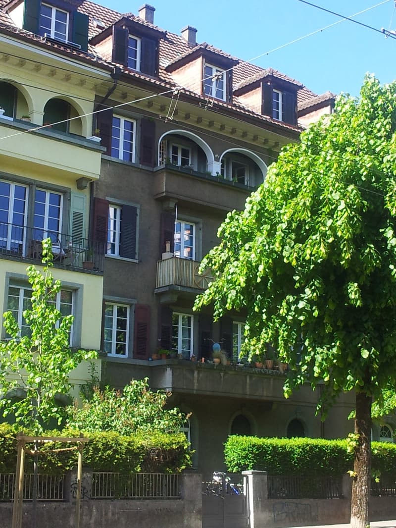 General-Dufourstrasse 2.5-Zimmer-Wohnung (1)