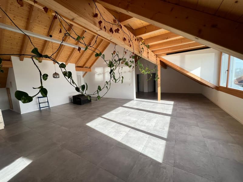 Wohn/Essbereich mit grosser Dachgaube