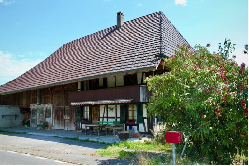 Bauernhaus / Bauland in Merzligen (1)