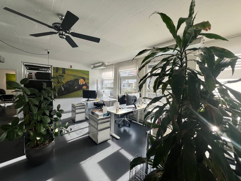 Schöner Büro- oder Gewerberaum in der Berner Matte (2)