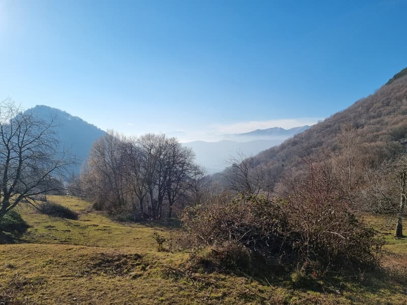 Terreno Edificabile con Vista Panoramica a Bre sopra Lugano (1)