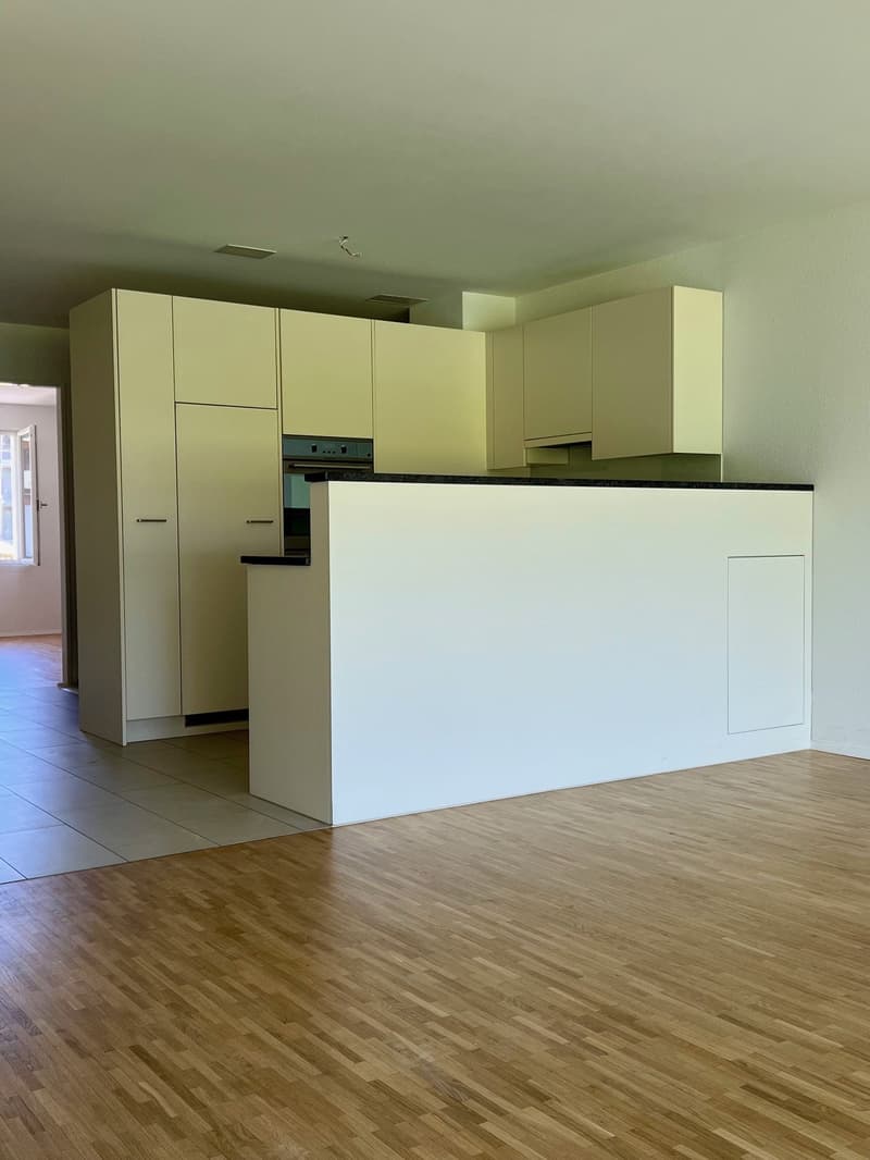Frisch renovierte 2.5 Zimmer Garten-Wohnung plus Hobbyraum in Schinznach Dorf (2)