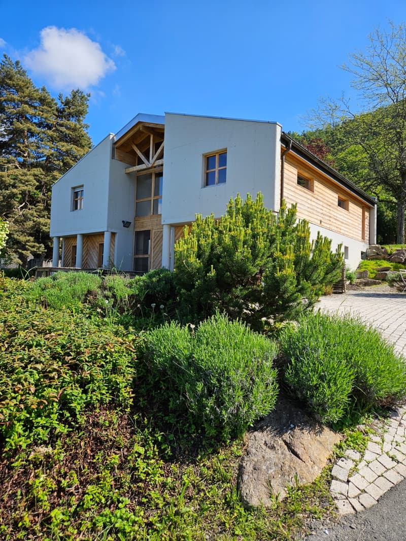 Villa d architecte contemporaine avec vue imprenable sur le Lac Léman et les Alpes vaudoises (1)