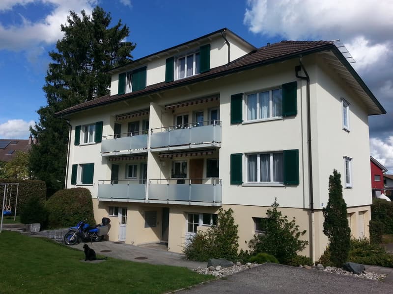 Wohnung in Niederönz (1)