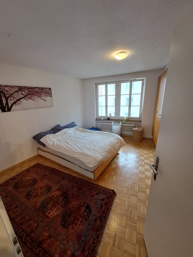 Wunderschöne 1.5-Zimmer-Wohnung in Olten (2)