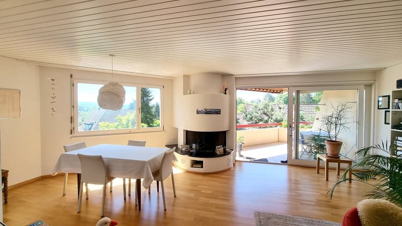 Wohnung in Binningen | ruhig, zentral, hell und mit wunderbarer Aussicht (2)