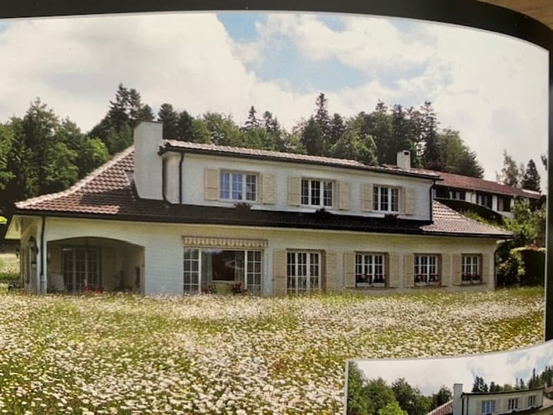 Maison individuelle à La Chaux-de-Fonds (1)
