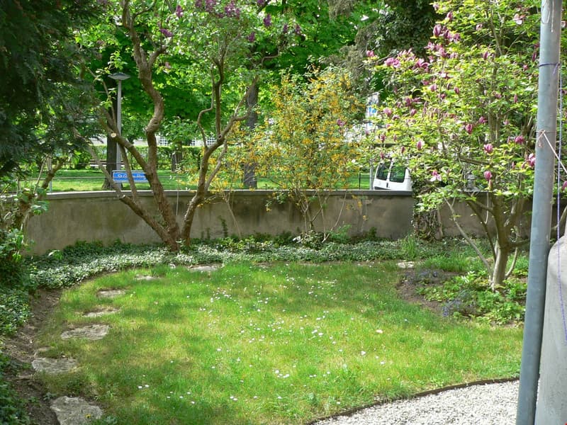 Garten bei Hauseingang
