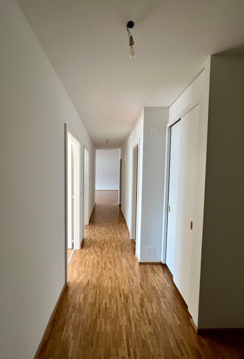 A vendre appartement au dernier étage rénové complètement à la limite de Montreux sur Territet (2)