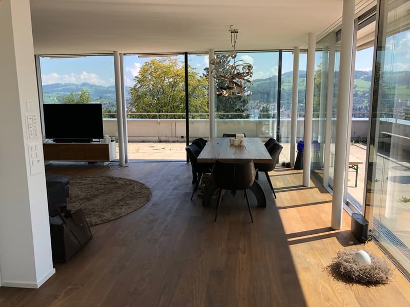 3.5 Zi Attika-Wohnung (108.5 m2) mit Panorama-Aussichtsterrasse (2)