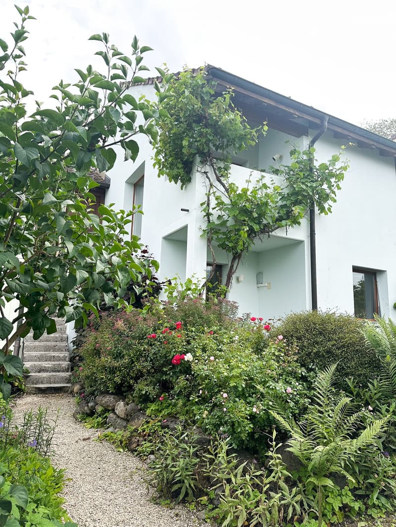 Doppeleinfamilienhaus in Pfaffhausen (2)