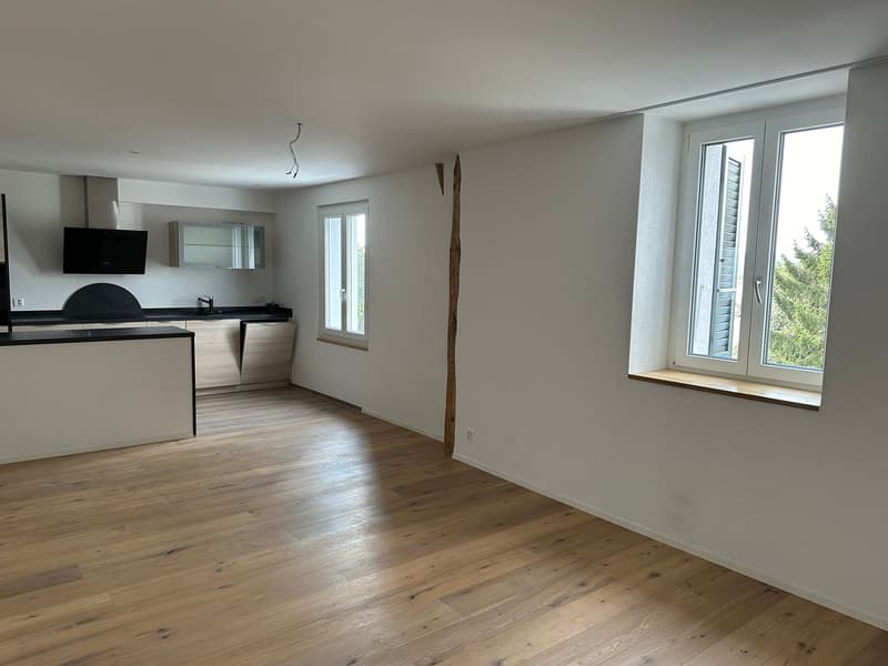 Duplex-/Maisonette-Wohnung in Solothurn (2)