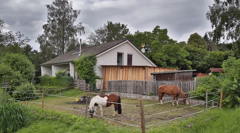 Für Pferde / Tierliebhaber Einfamilienhaus in Laufenburg mit Stallung & Reitplatz total 20 Aren (1)