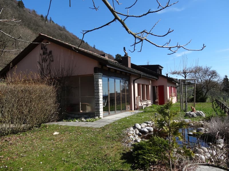 Einfamilienhaus in Ligerz / Schernelz (1)