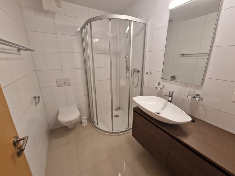 Modern bathroom with a curved glass shower enclosure, a white sink vanity, and tiled walls and floor.