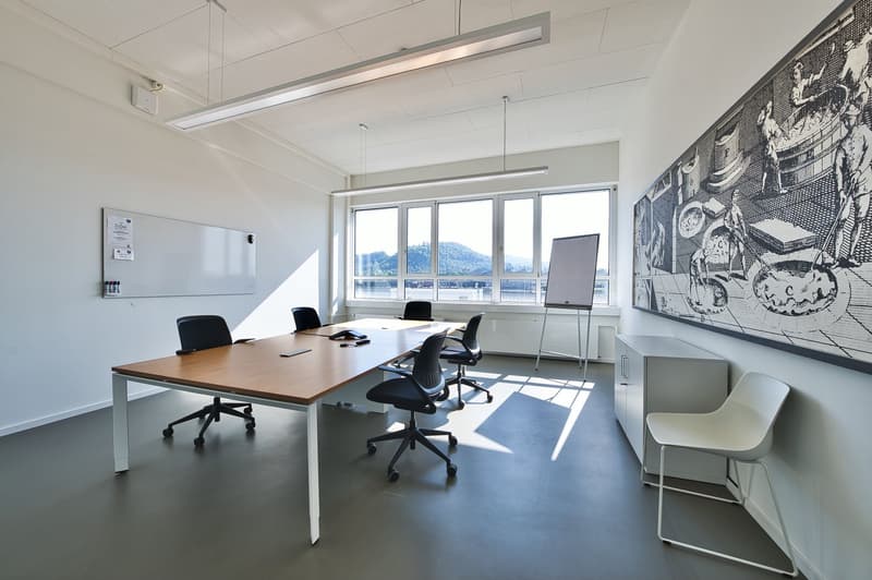 Labor- & Büroräume im GETEC PARK.SWISS - Idealer Standort für Life Science, Pharma und Chemie (6)