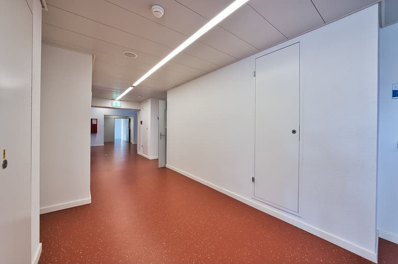 Labor- & Büroräume im GETEC PARK.SWISS - Idealer Standort für Life Science, Pharma und Chemie (7)