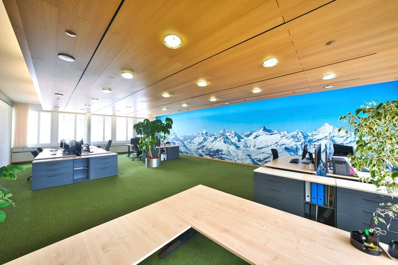 Modern office, with wooden desks, green carpeted floor, panoramic wallpaper of mountains, potted plants.