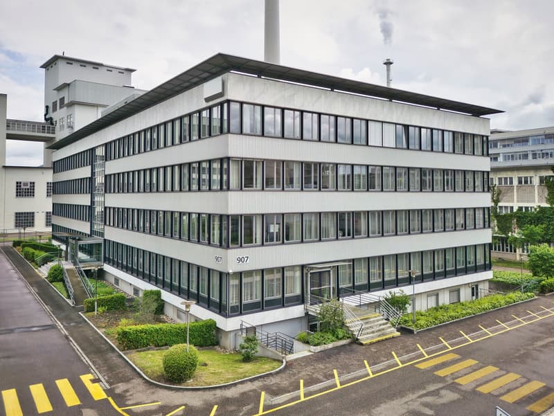 Multistory office building, white exterior, large windows, parking lot, landscaped areas
