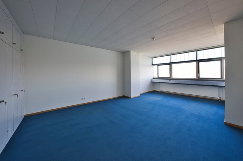 Large open room with white walls, blue carpeted floor, and several windows providing natural light. The room appears to be an office or workspace with built-in storage units along one wall.