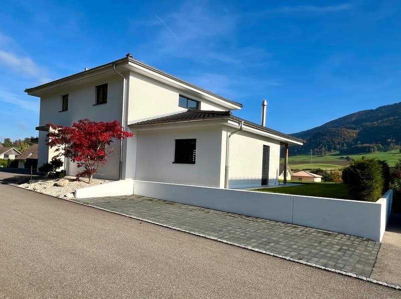 Modern white house, modern architecture, driveway, front yard, beautiful mountain view, lush greenery
