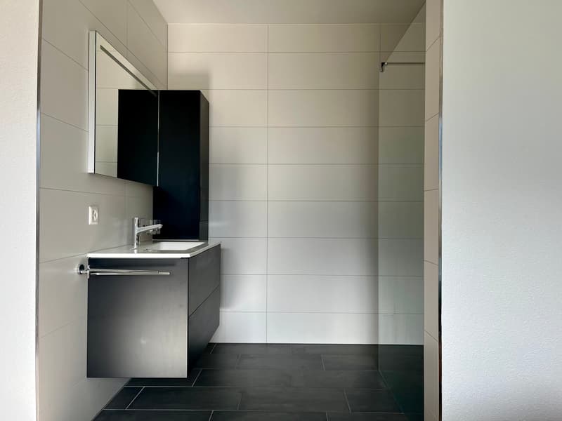 Modern bathroom with black vanity unit, mirror cabinet, and tiled walls and floor