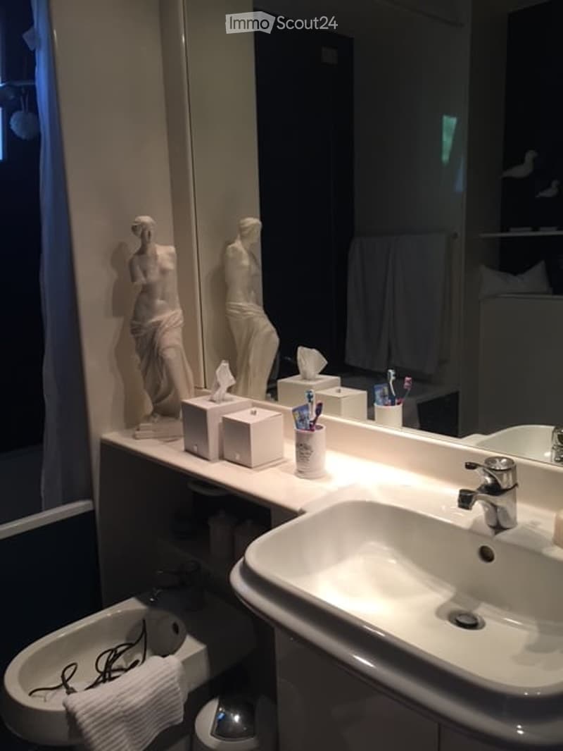 modern bathroom with white fixtures, vanity with sink, mirror, statues, towel holder, bidet, and tissue boxes