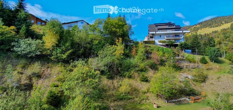 House with modern architecture, elevated ground, surrounded by greenery and forest