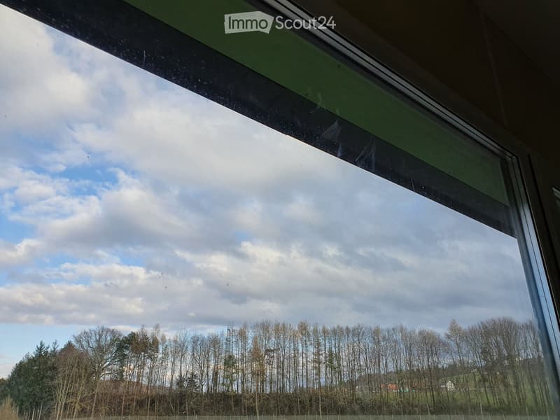 View of a wooded area and blue sky with clouds
