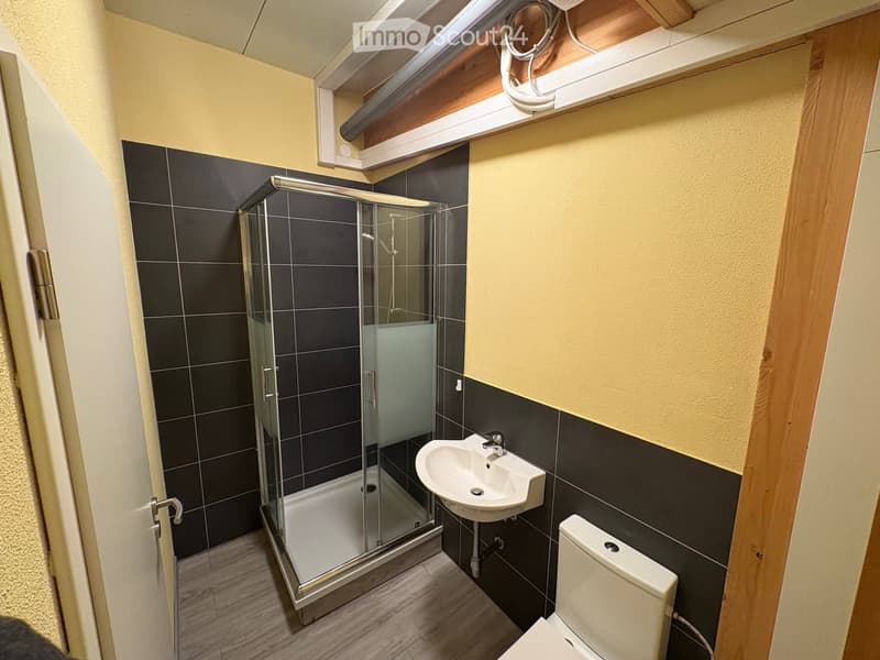 shower, sink, toilet, tiled walls, glass door, wooden floor