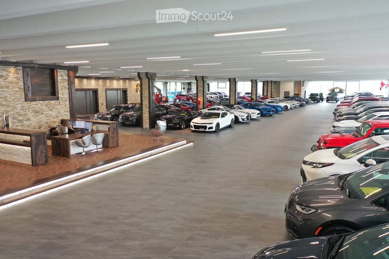 Rent from 1'000sqm to 12'000sqm, become a part of Red Monkey! (3)