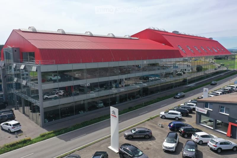 Rent from 1'000sqm to 12'000sqm, become a part of Red Monkey! (8)