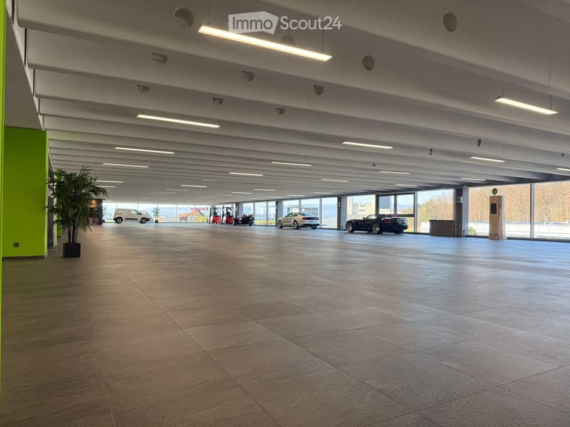 Rent from 1'000sqm to 12'000sqm, become a part of Red Monkey! (6)
