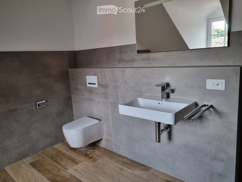modern bathroom with gray tiles, white sink, flush toilet, faucet, wooden floor