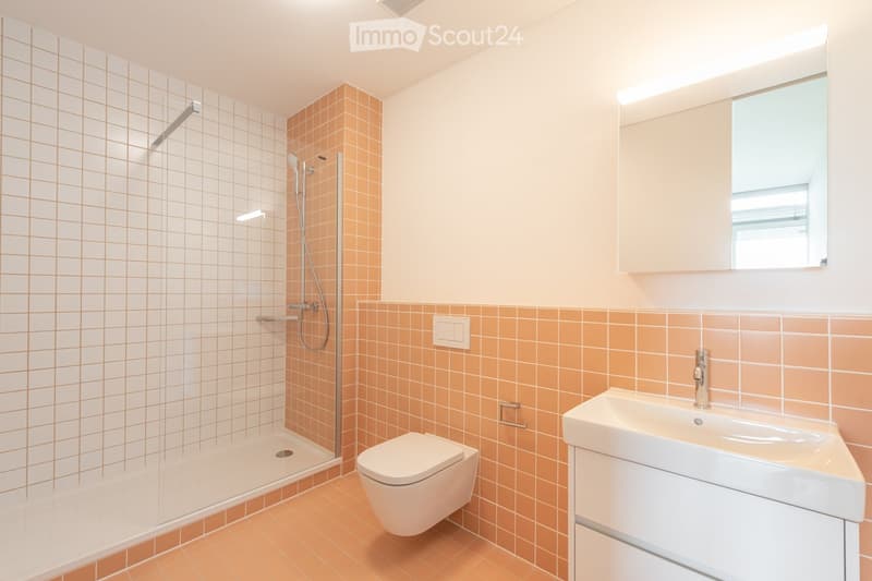 Bathroom. Modern bathroom with orange tiles, a glass-enclosed shower, a toilet, a sink with a faucet, and a mirror above the sink.