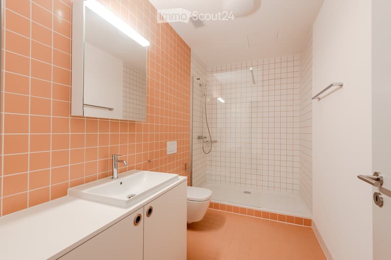Modern bathroom with orange tiles, white sink, toilet, and shower area with glass enclosure.