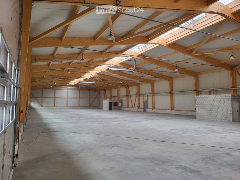 empty warehouse with concrete floor, wooden trusses, suspended lamps, white walls, two doors, and windows on the left side