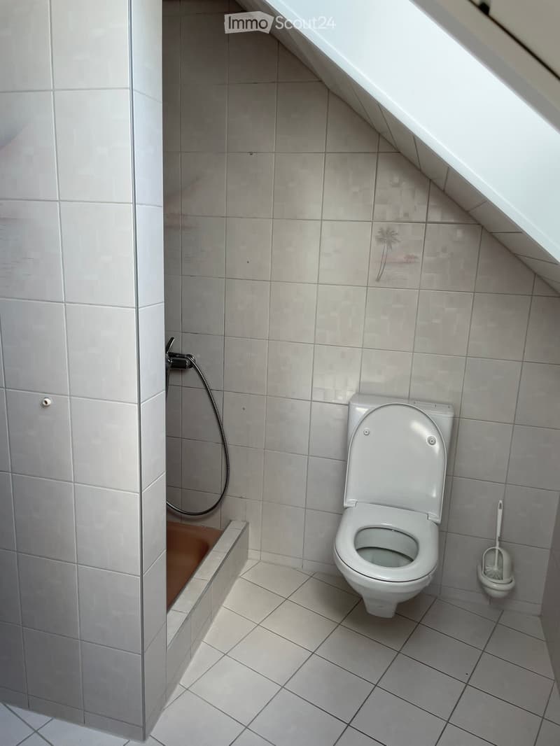 small shower room with a small toilet