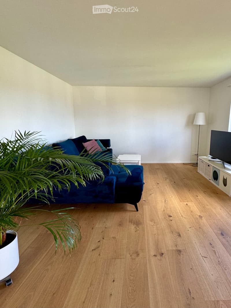 Blue couch, TV, lamp, wooden floor, potted plant