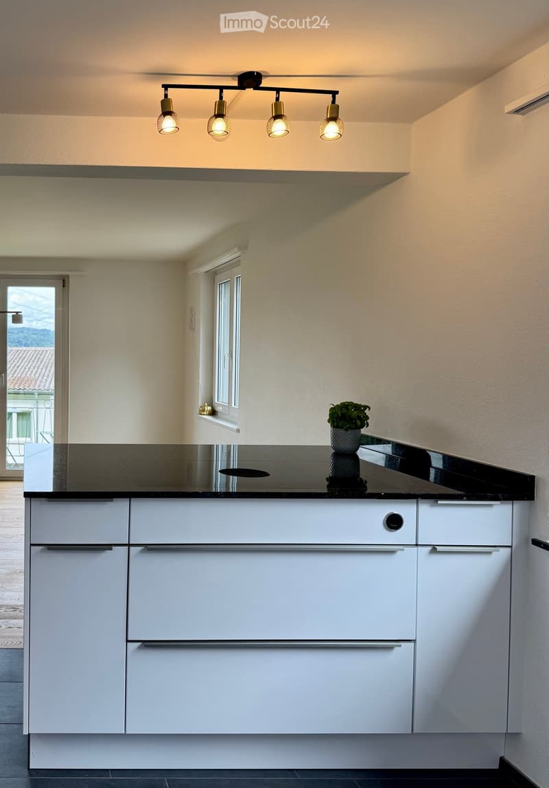 modern minimalist kitchen with granite countertop, white cabinetry, island sink, track lighting, potted plant, windows, and a balcony visible through the windows