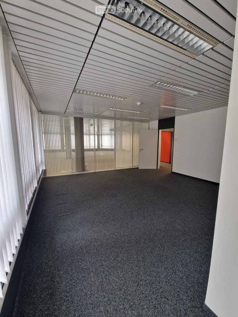 Empty office room, white walls, gray floor, sliding glass windows, white ceiling.