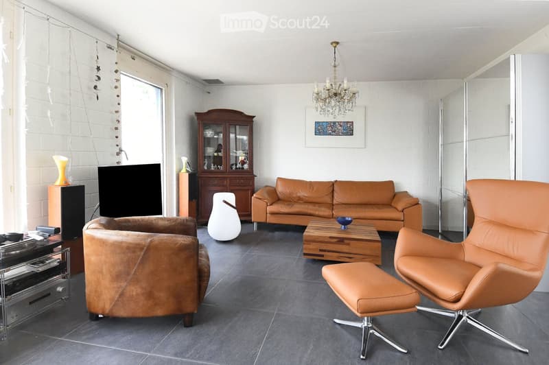 Chandelier, leather furniture, television, table, cabinets, shelves, storage racks, speakers, rug