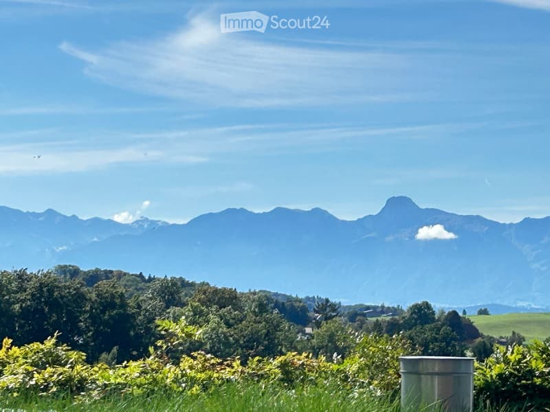 Mountain range with peaks, trees, bushes, grass, clear blue sky with some clouds.