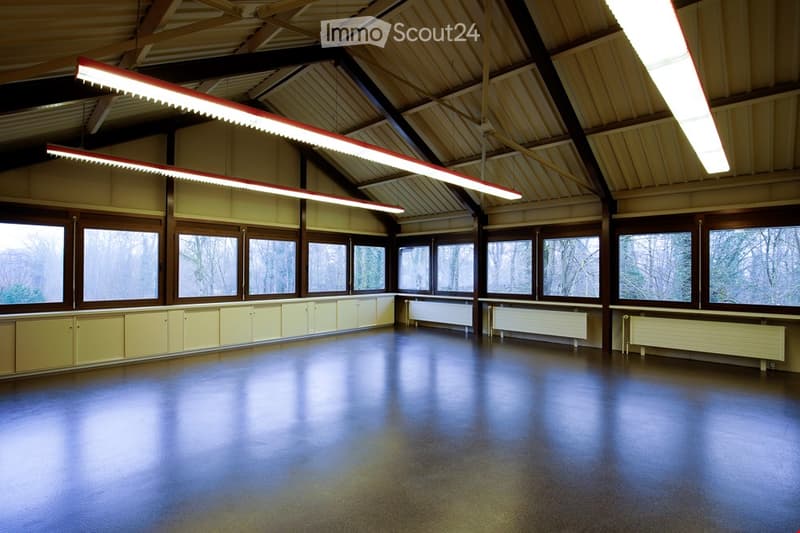 Spacious, light-filled room with many windows, white walls, ceiling lamps, and radiators.