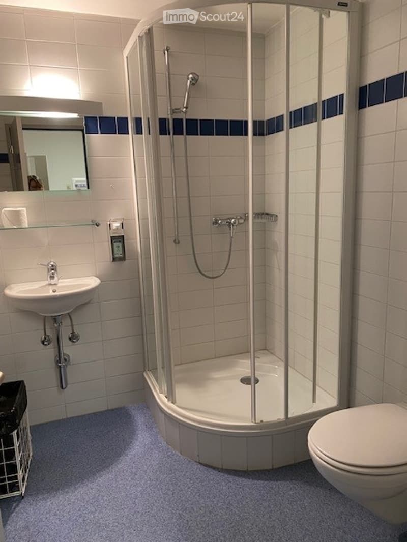 Shower enclosure, sink, toilet, mirror