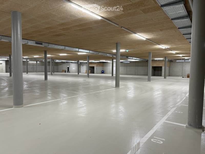 underground parking, concrete floor, fluorescent lights, white parking markings, metal columns