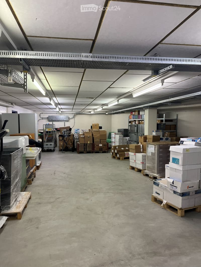 An empty warehouse with concrete floor, white ceiling, boxes and storage containers, shelves, appliances and trolleys, fluorescent lights.