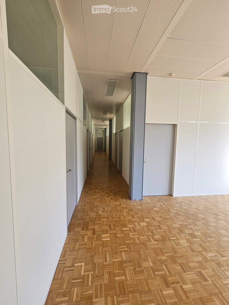 Wide corridor, wooden parquet floor, white walls, gray doors, ceiling with metal mesh