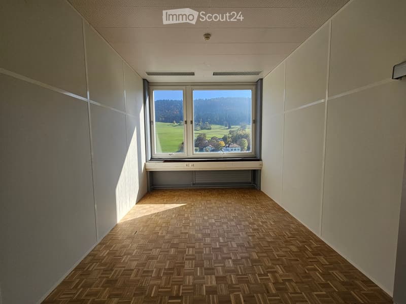 Empty room, wooden floor, white walls, large window with a view of a mountain and a field