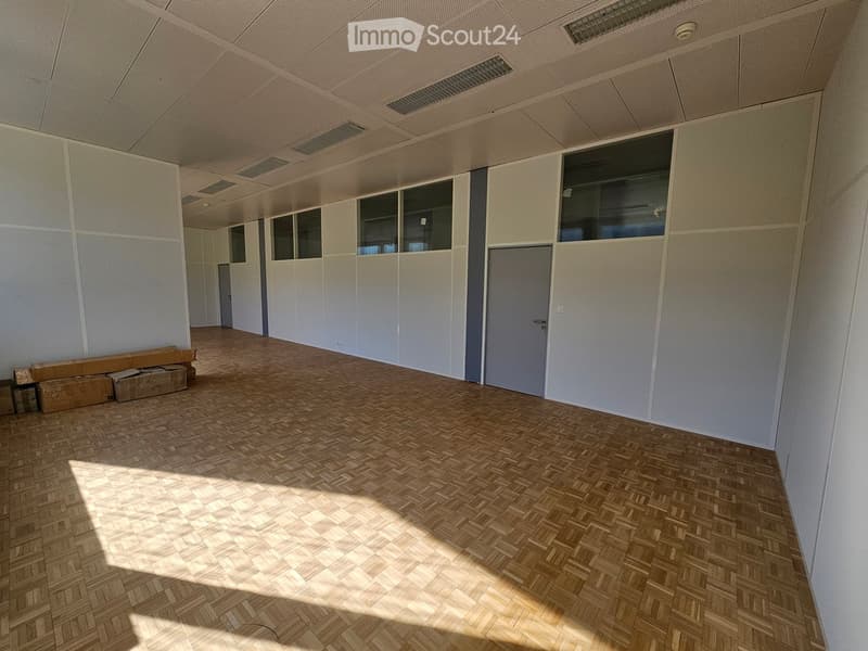Empty room with white walls, wooden parquet flooring, central door, three windows on the wall.